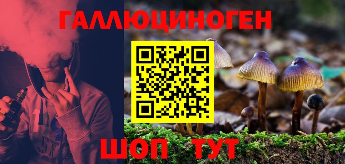 Галлюциногенные грибы ЛСД Кыштым