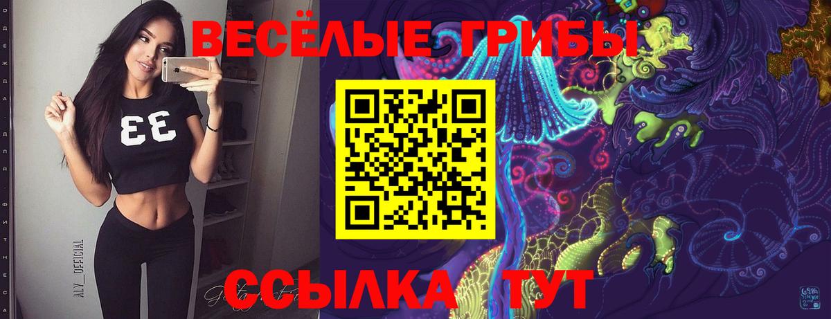 Галлюциногенные грибы GOLDEN TEACHER  Галлюциногенные грибы Magic Shrooms  Кыштым  купить наркотики сайты  Вход с VPN 